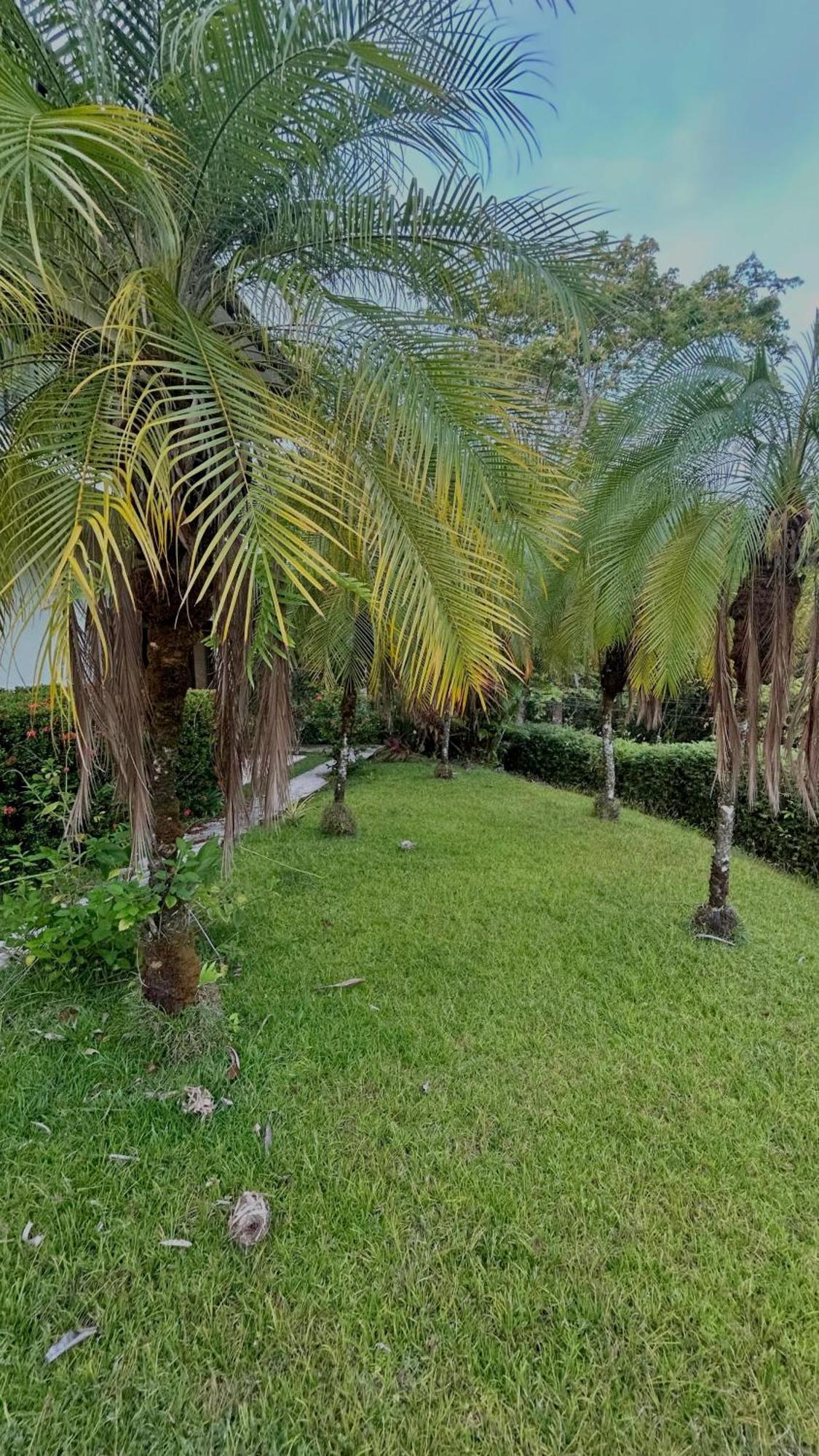 Villa Vista Mar Dominical Luaran gambar